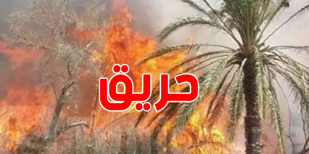قبلي: إخماد حريق بواحة بمنطقة القلعة أتى على 75 من أصول النخيل