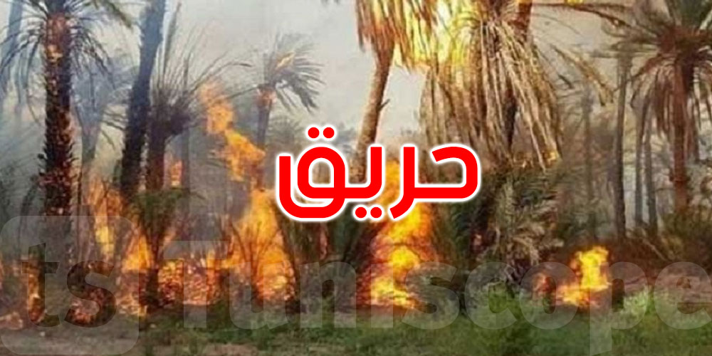 حريق ضخم يلتهم 120 نخلة بواحة الفوار