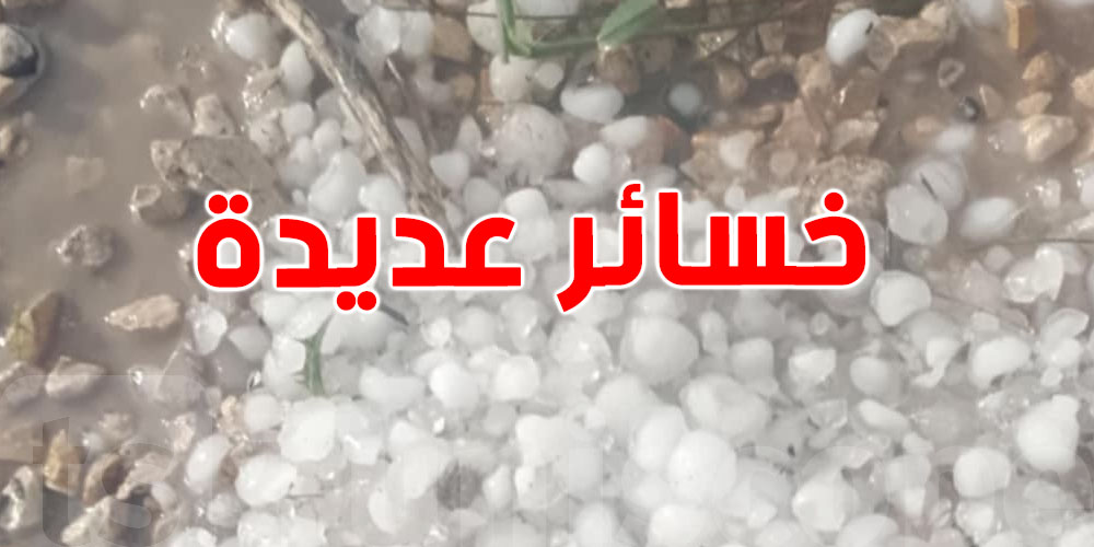 اتحاد الفلاحة: نفوق عدد من رؤوس الماشية بالكاف بسبب الأمطار والبرد.. ومطالب بالتعويض