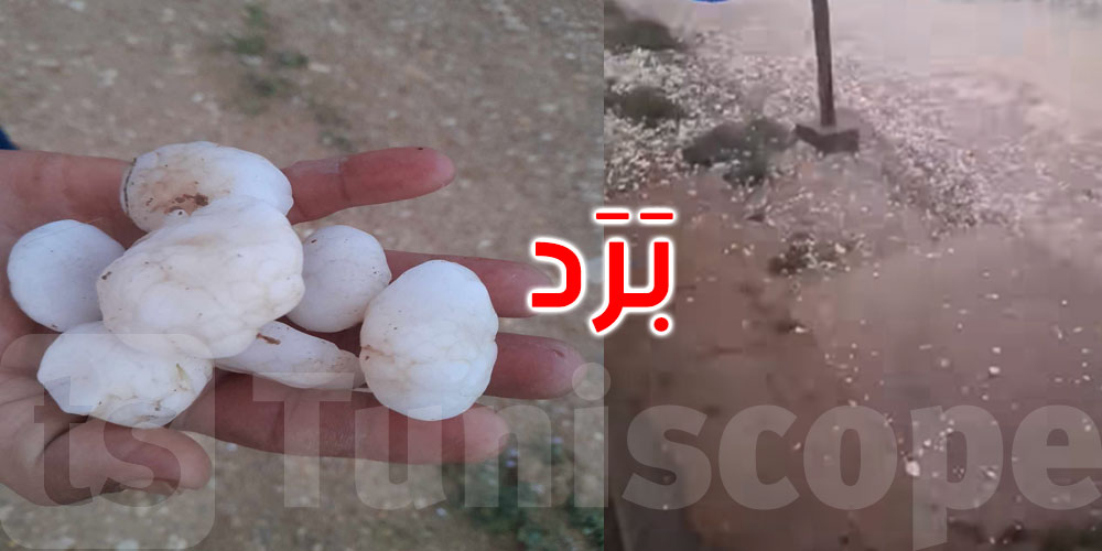 صور: بَرَد كبير الحجم في تالة والقلعة الخصبة