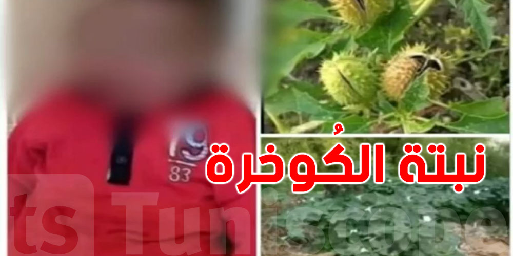 عاجل: هذه حقيقة وفاة طفل العامين ونصف بعد اكله لنبتة ''الكُوخرة''؟