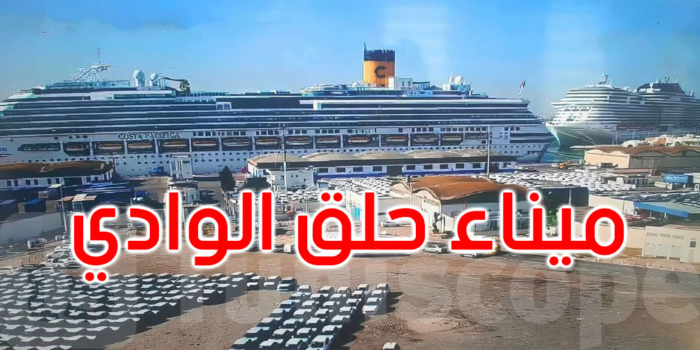 عاجل: ميناء حلق الوادي يستقبل أكثر من 10 ألاف سائح في يوم واحد