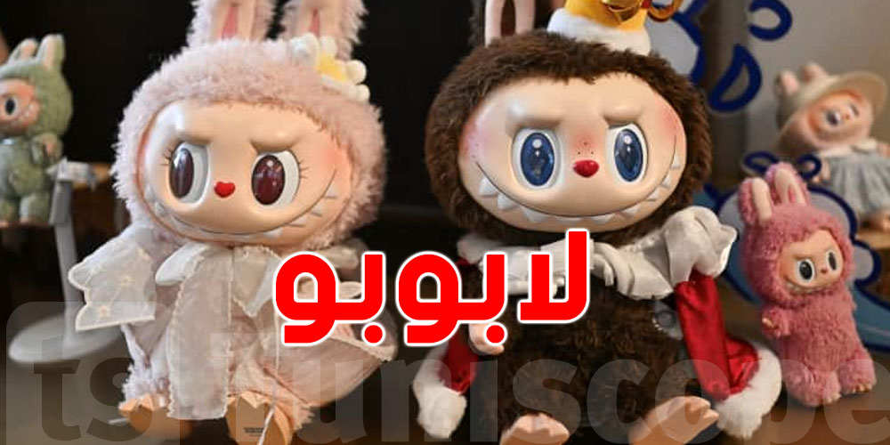 عاجل: دمى ''لابوبو'' المزيفة تغزو الأسواق.. وهذه الدولة تتحرك لمواجهتها