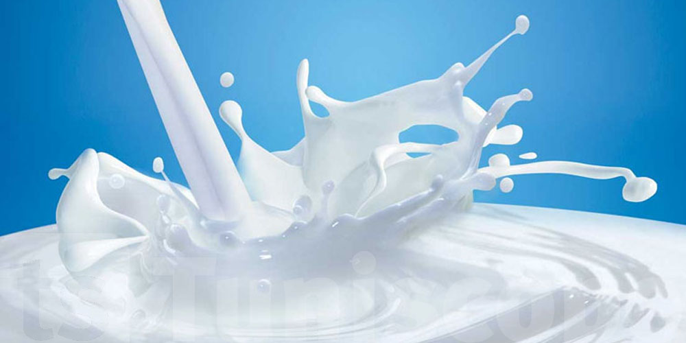 Lait UHT suspect en Tunisie : retrait de lots après des plaintes de consommateurs