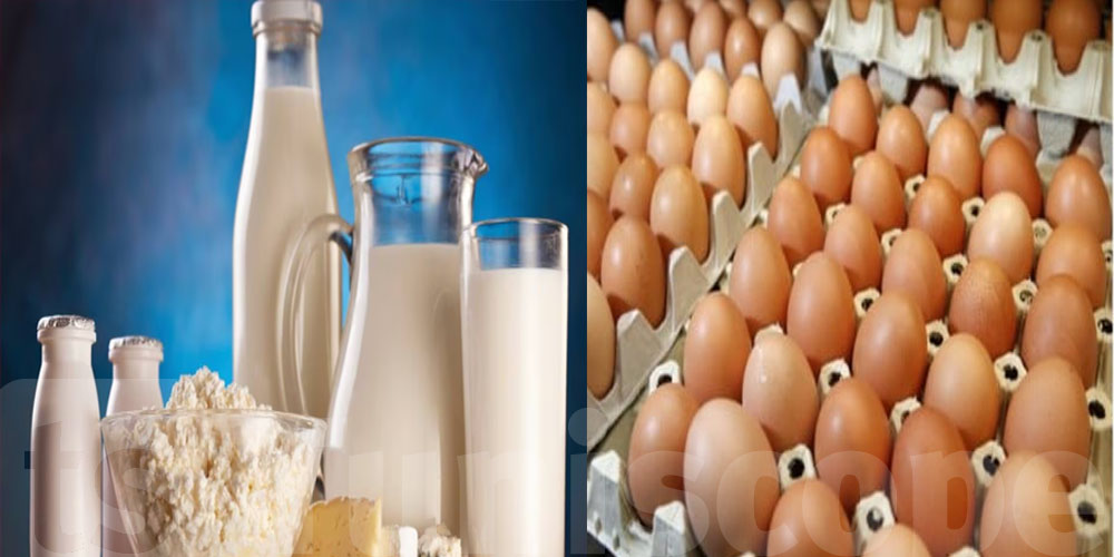 Ramadan : Stabilité de l'approvisionnement en œufs et produits laitiers