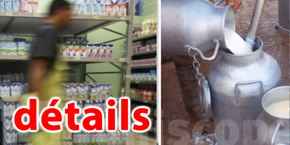 Tunisie :  Le prix du lait grimpera-t-il ?  