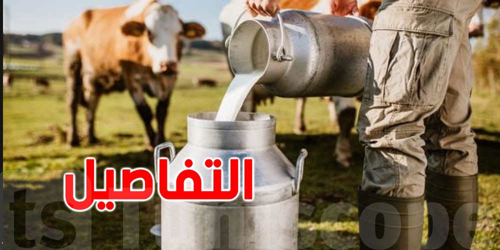 مجاز الباب: وزير الفلاحة يأذن بفتح تحقيق في الإخلالات المسجلة في شركة الضيعات المنتجة للحليب 