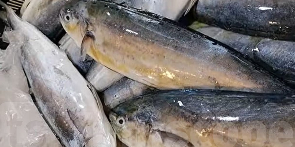 Lambouka avant le 15 août : attention à la pêche illégale !