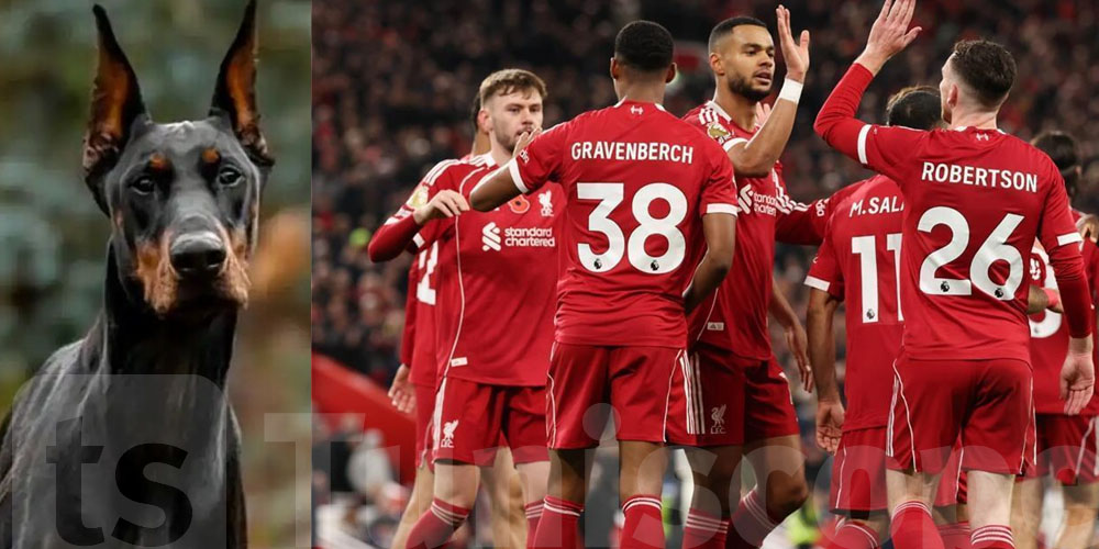  مهاجم ليفربول يشري كلب بـ120 مليون  باش يحمي روحو: شكونوا ؟