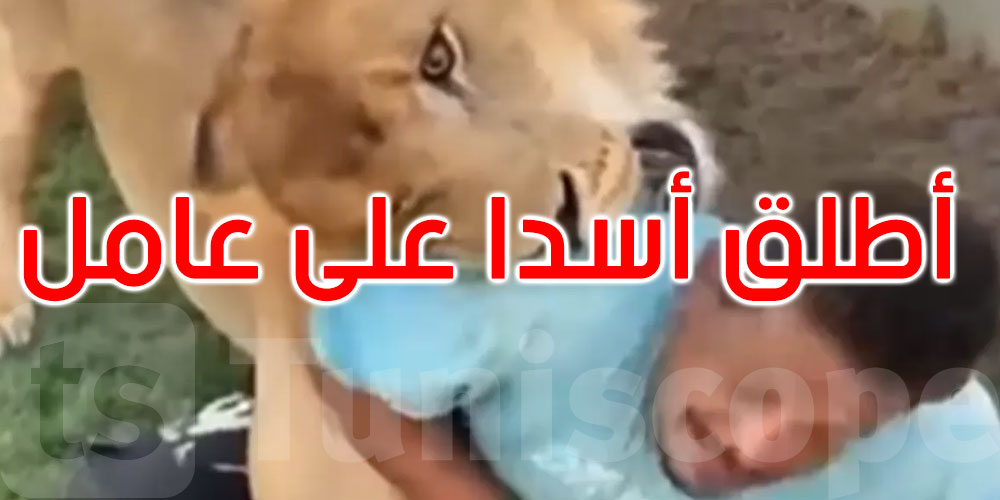 ليبيا: حبس رجل أطلق أسدًا على عامل مصري في مزرعته