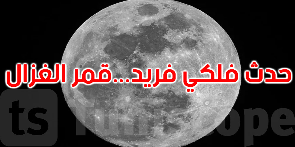 حدث فلكي فريد: القمر الأبعد عن الشمس يزورنا غدًا... تفاصيل ظاهرة نادرة