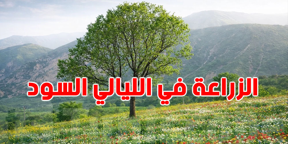 استغل الليالي السود: أسرار نجاح البذور والتسميد والتقليم
