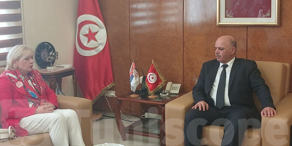 Renforcement des liens aériens et commerciaux : Rencontre entre le ministre des Transports tunisien et l’ambassadrice de Serbie