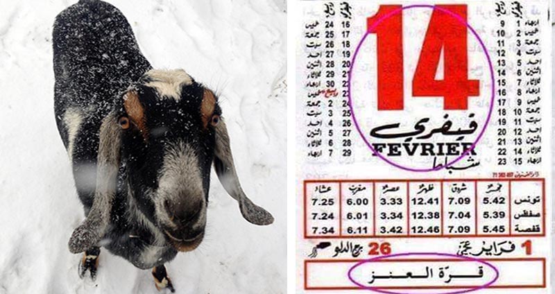 التوانسة على موعد مع قرّة العنز- البرد القارس- ...شنيا هيا ووقتاش ؟