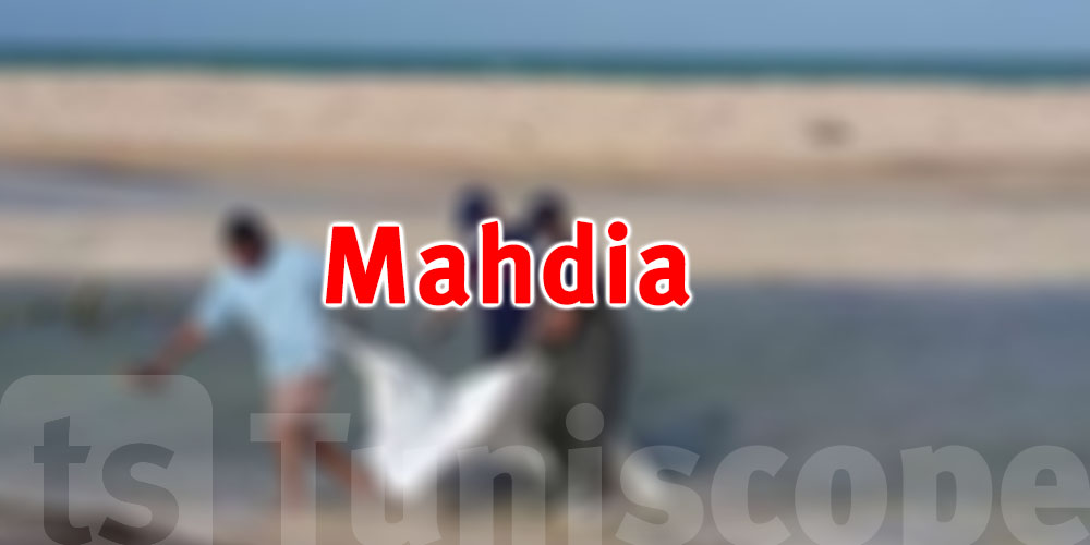 15 corps découverts sur les plages de Mahdia