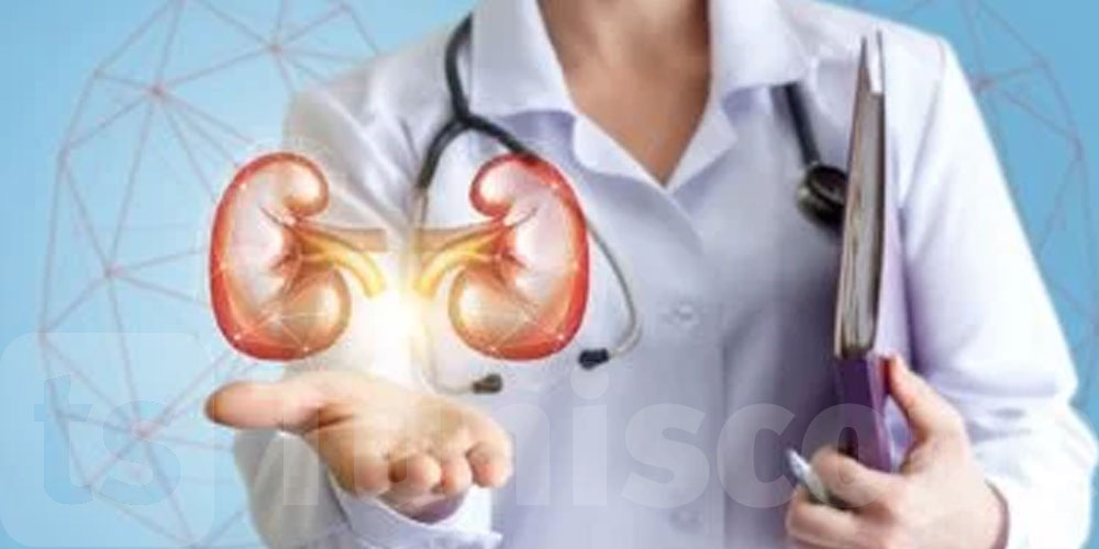 هل يكفي شرب الماء لمنع حصى الكلى؟.. تجربة كبيرة تكشف مفاجأة