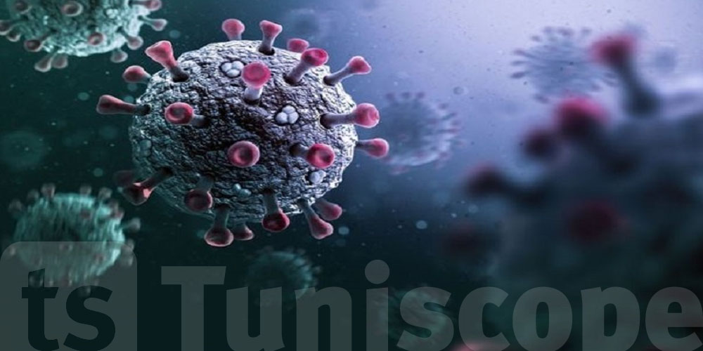 Des milliers de Tunisiens touchés par le lupus : une lutte invisible