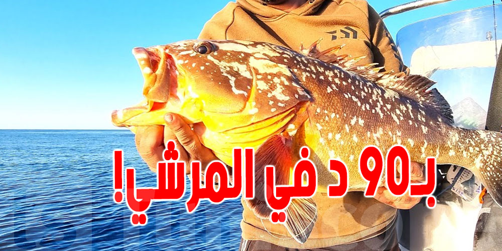 صادم : المنّاني من البحّار ب 60 دينار.. وفي السُّوق يُولي 90 دينار