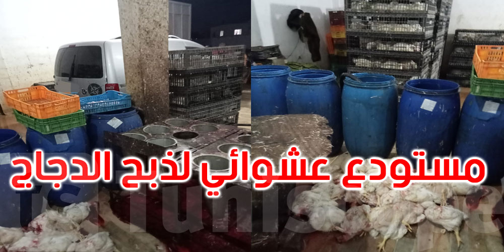 منوبة: الكشف عن مستودع عشوائي لذبح الدجاج