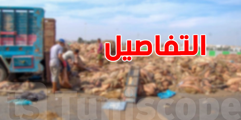 منوبة تثمن جلود الأضاحي: حملة بيئية واقتصادية لمجابهة التلوث في العيد