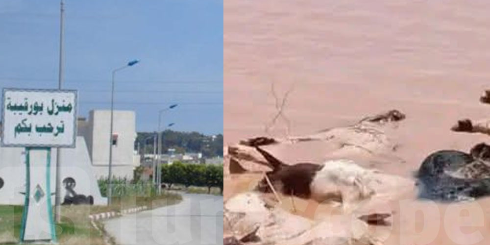 تفاصيل  : خسائر كبيرة للفلاحين في منزل بورقيبة 