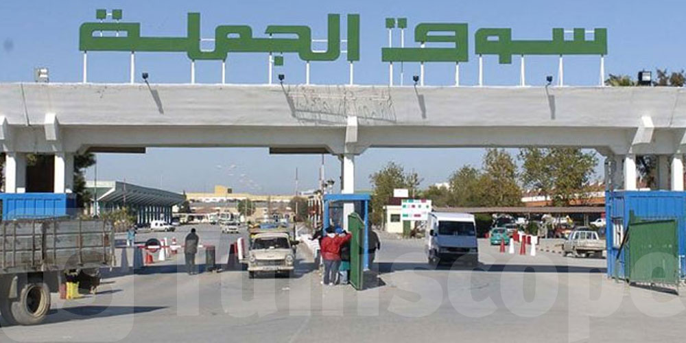 عاجل: الشركة التونسية لأسواق الجملة تشرع في إعادة تهيئة بيوت التبريد المعطبة للمعاضدة في مجهود التخزين