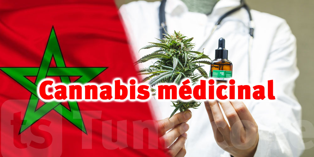 Maroc : Formation en usages médicaux du Cannabis