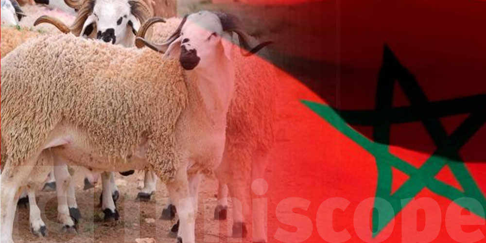 المغرب يستخدم ''الدرون'' لمنع ذبح الأضاحي خلال عيد الأضحى