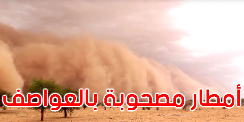 موريتانيا: سقوط 20 منزلا جنوب غربي البلاد بسبب العواصف - Vimarsana News