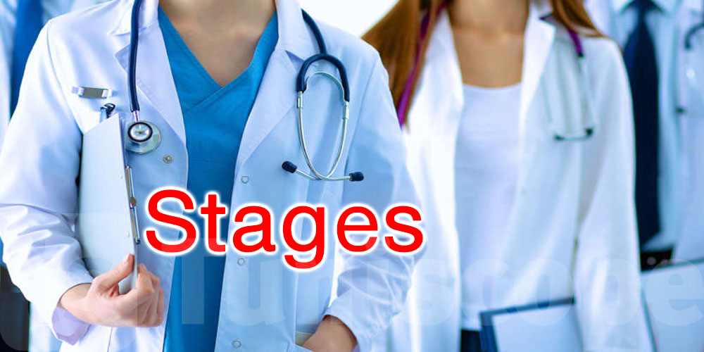 Médecins résidents : un processus 100 % numérique pour l’affectation des stages 
