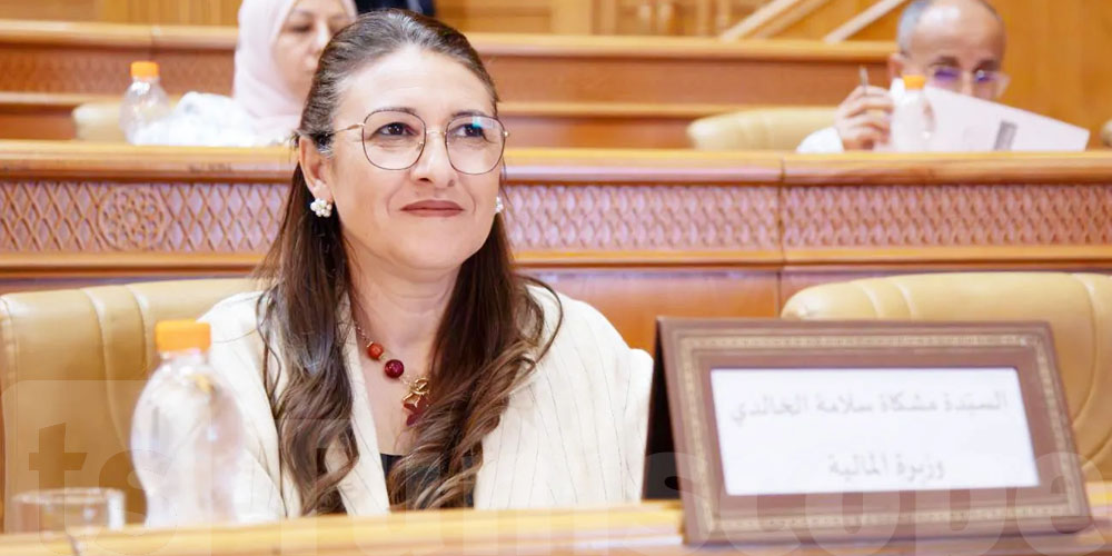وزيرة المالية تدعو المؤسسات البنكيّة والماليّة إلى مواصلة دعم الميزانية 