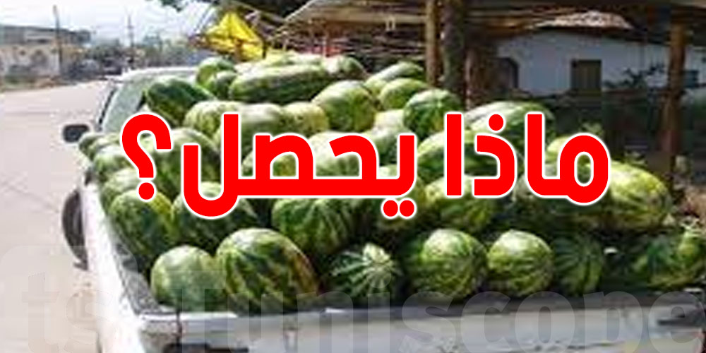 الدلاع في الكاميونة.. صحي ولا خطر؟..اكتشف السّر