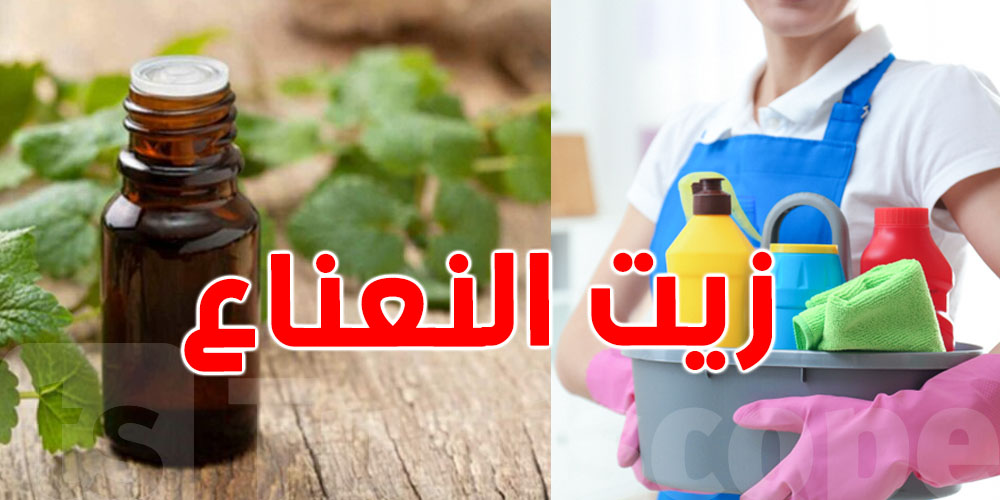 زيت النعناع... حيلة ذكية لكل ''تونسية'' تحب النظافة الطبيعية وتكره الحشرات