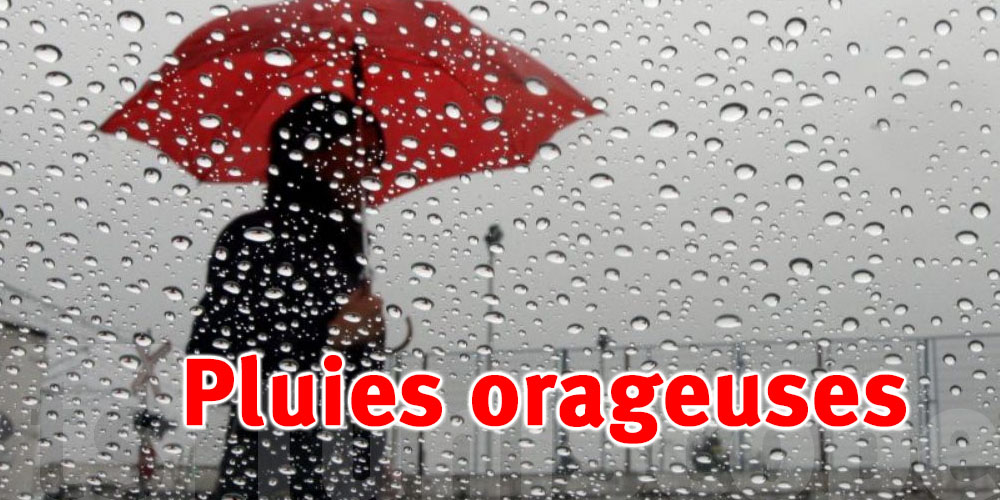 Orages attendus l'après-midi et vents forts au sud