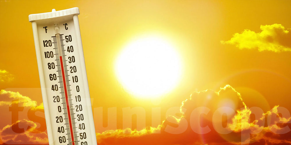 اليوم: تسجيل 53 درجة في القيروان تحت الشمس و48 درجة في توزر