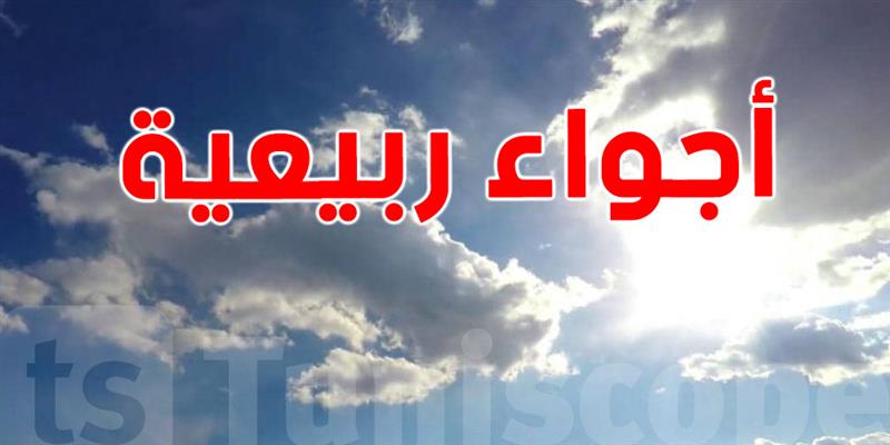 طقس اليوم: أجواء ربيعية دافئة وأمطار رعدية محلية