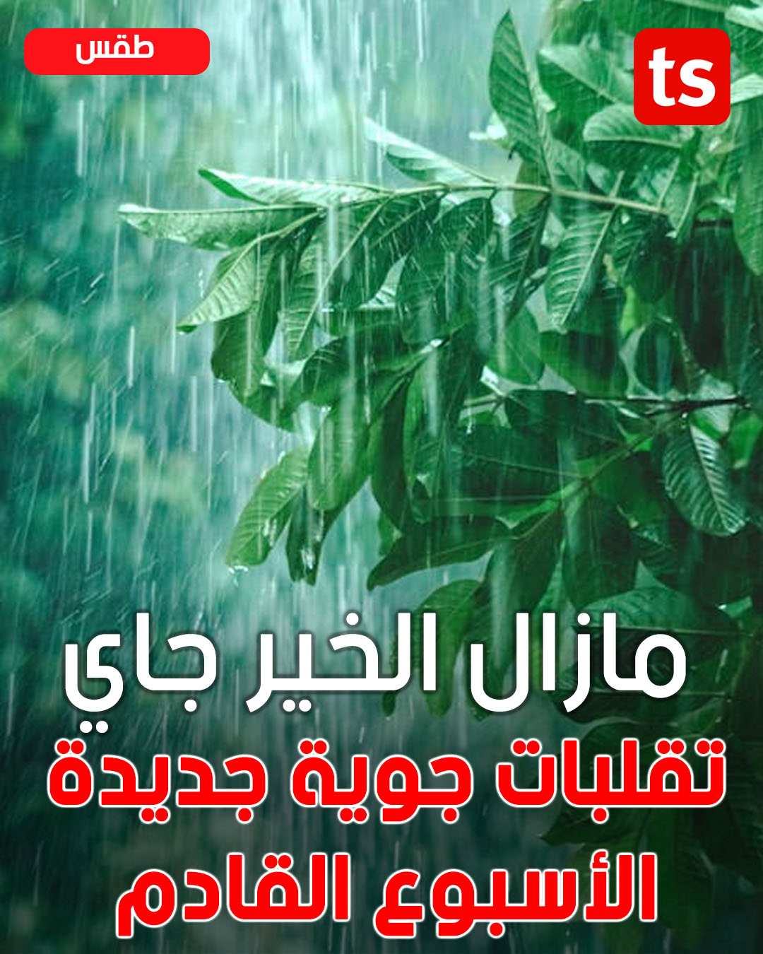 سندة 2: خطوة جديدة باش تسهّل عودة التوانسة من الخارج