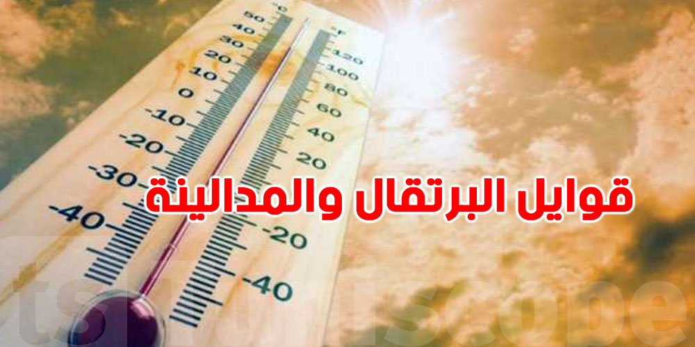 اليوم: طقس بنكهة ''قوايل'' البرتقال والمدالينة!