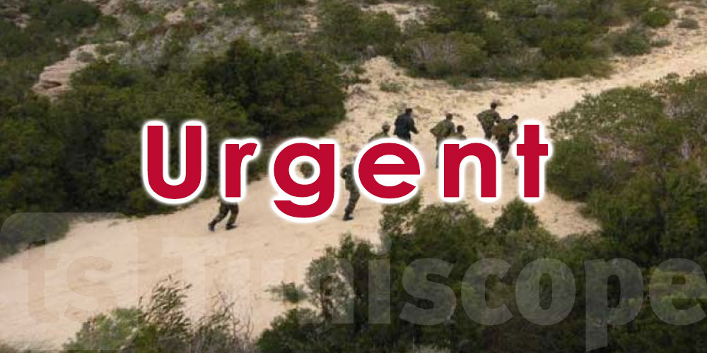 Urgent: Affrontements entre l'armée et des terroristes à Jebel Selloum