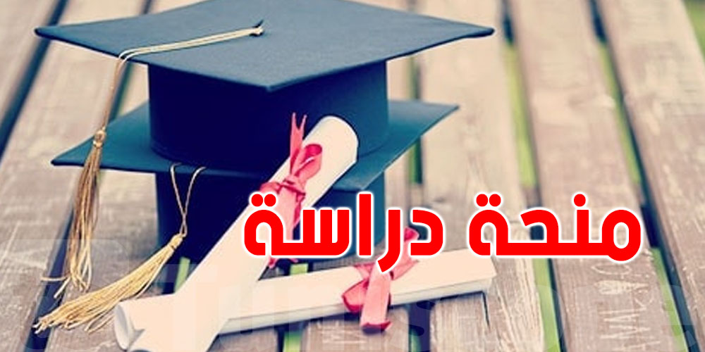 عاجل: لا تُفوّت الفرصة...منحة دراسية وسفر مجّاني لأبناء الجالية التونسية!