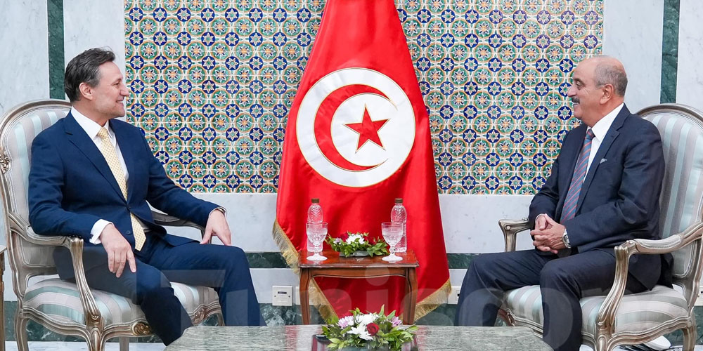 Mohamed Ali Nafti reçoit le Coordonnateur résident des Nations Unies en Tunisie