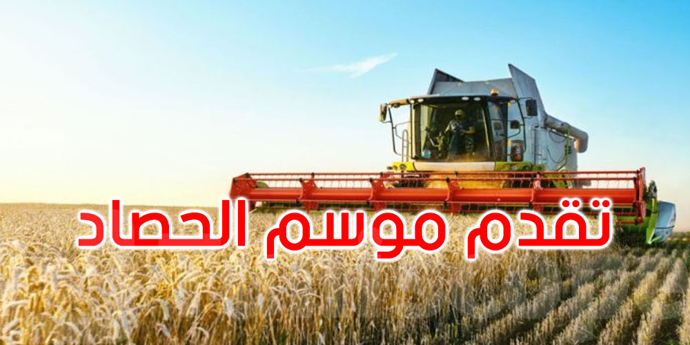 موسم الحصاد: تجميع حوالي 9,049 مليون قنطار إلى غاية 3 جويلية 2025