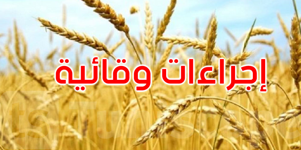 بالفيديو: هذه توصيات وزارة الفلاحة لحماية مزارع الحبوب من الحرائق