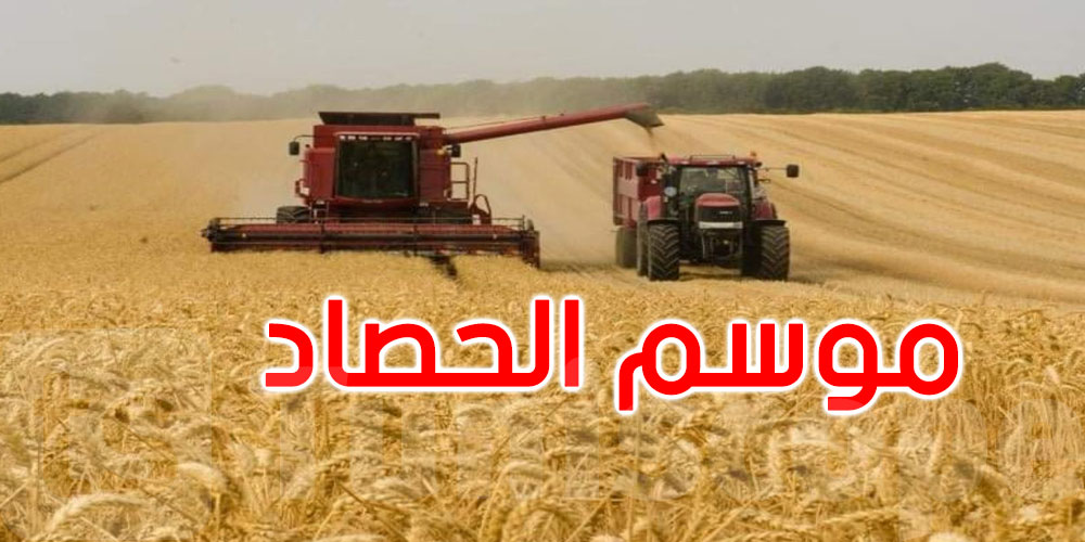 وزير الفلاحة: صابة هذا الموسم قياسية وتوقعات بإنتاج أكثر من 18 مليون قنطار من الحبوب