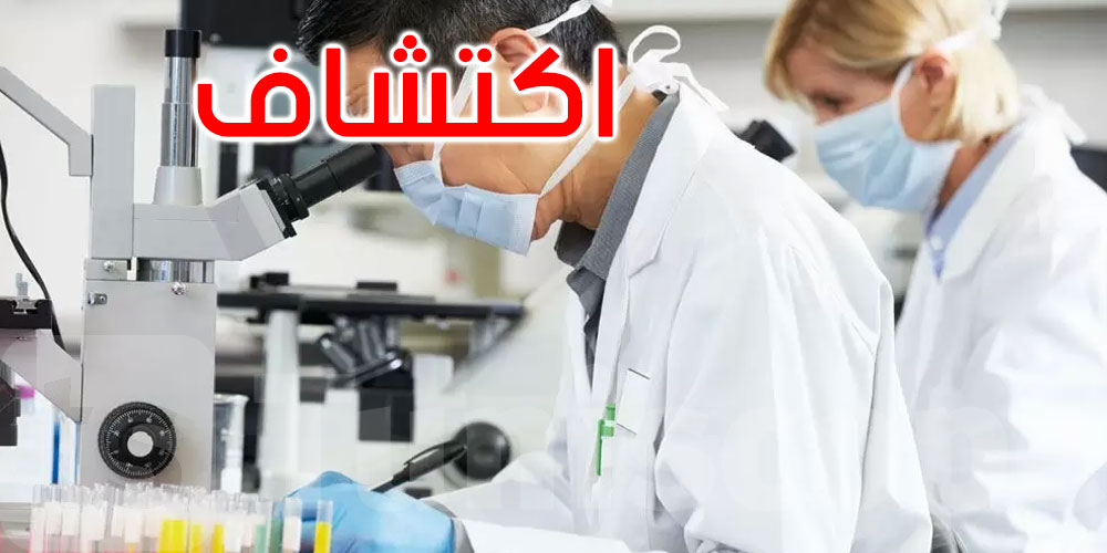   اكتشاف كائن غريب منقرض يربك العلماء ويثير دهشتهم