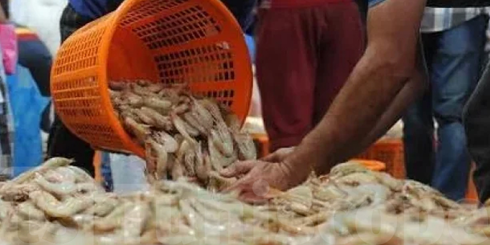 حجز 264 كلغ كروفات فاسدة في تونس والمنستير!