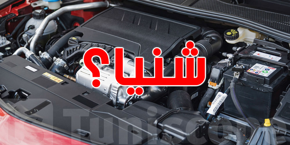 قبل ما تسكر كرهبتك.. اعمل خطوة صغيرة تحمي ''الموتور''!