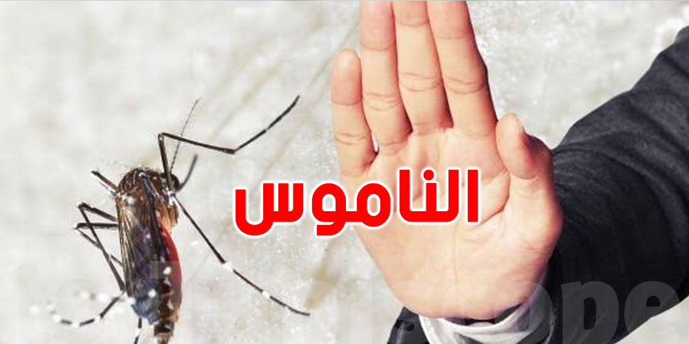 وزارة الصحة تحذّر: ''الناموس'' خطر صحي وليس مجرد إزعاج
