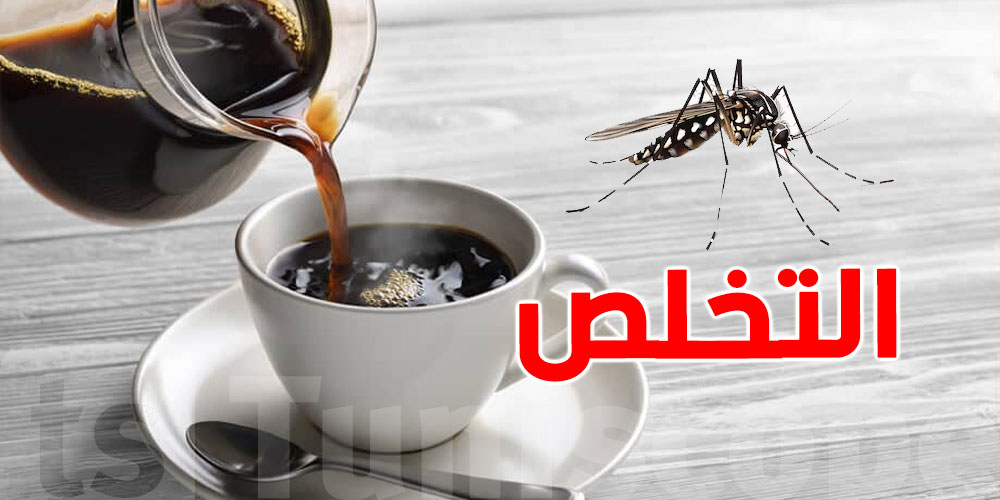 القهوة: ''astuce''هايلة باش تهربلك النموس والنمل
