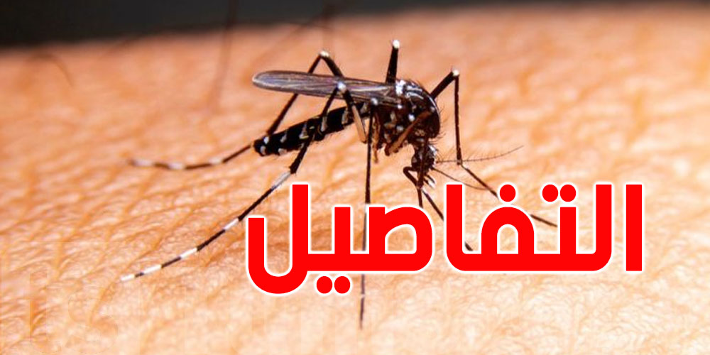 مرض الملاريا.. إنجاز طبي عربي ينقذ آلاف الأرواح...ما هو ؟
